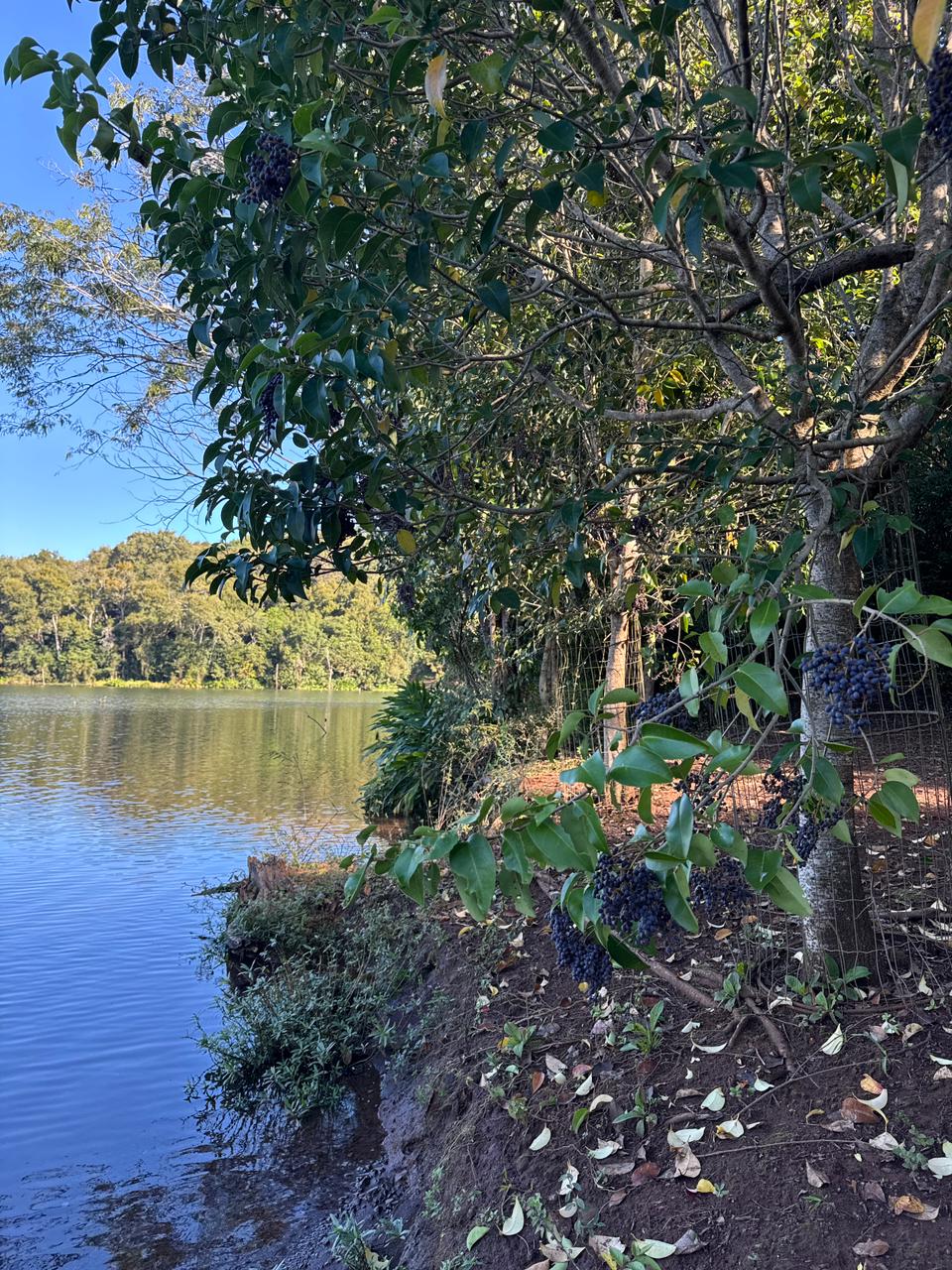 Bangalô Dona Maria — foto 19